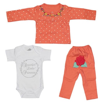 Lenovo Flex 2 - E - 15 inch Laptop